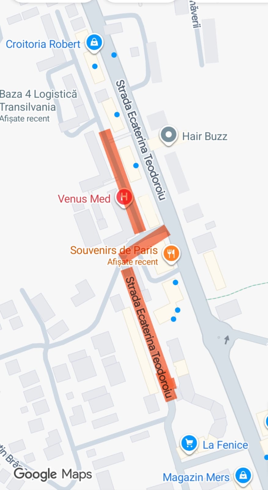 Frezare pe două zone paralele cu  strada Ecaterina Teodoroiu