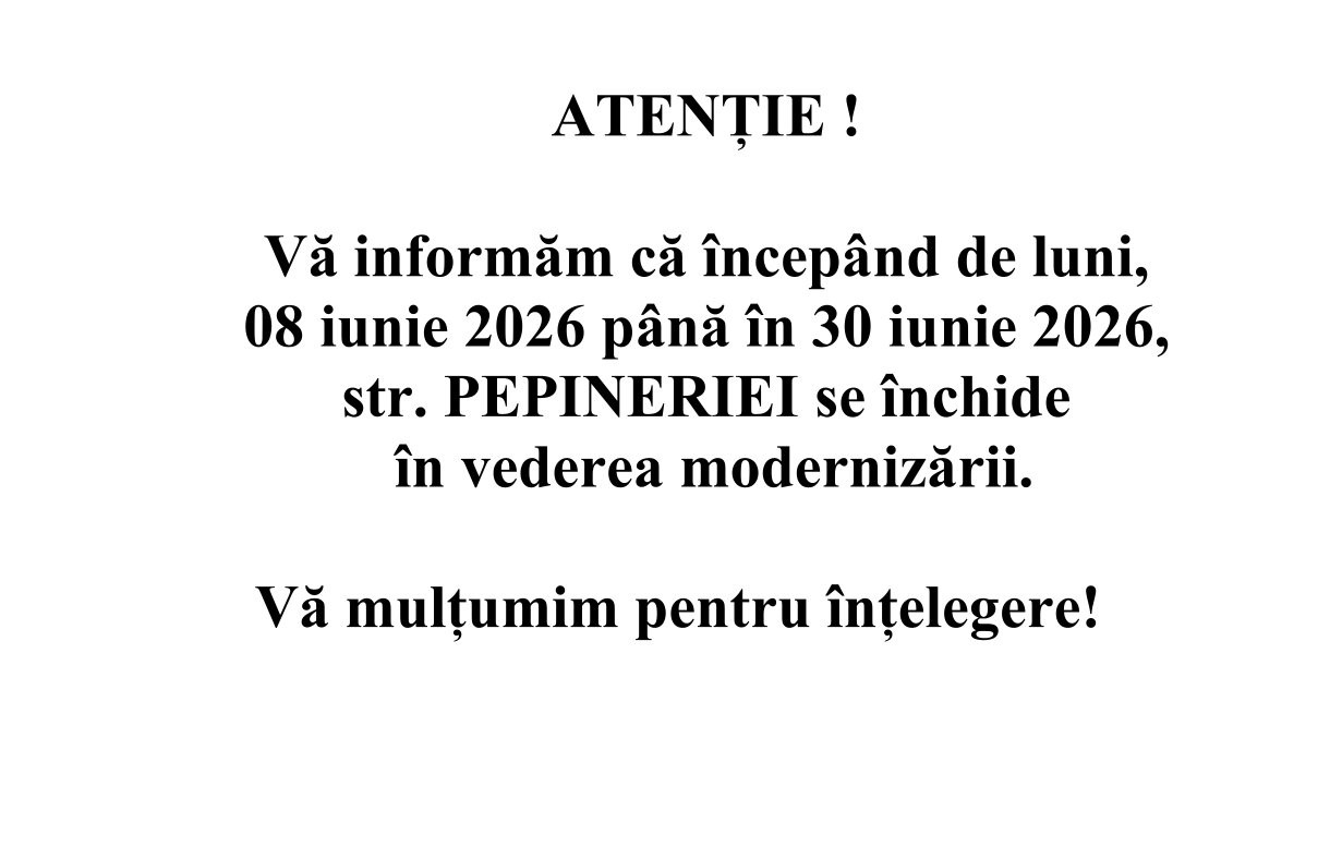 Continuă lucrările pe strada Pepineriei, sector 2
