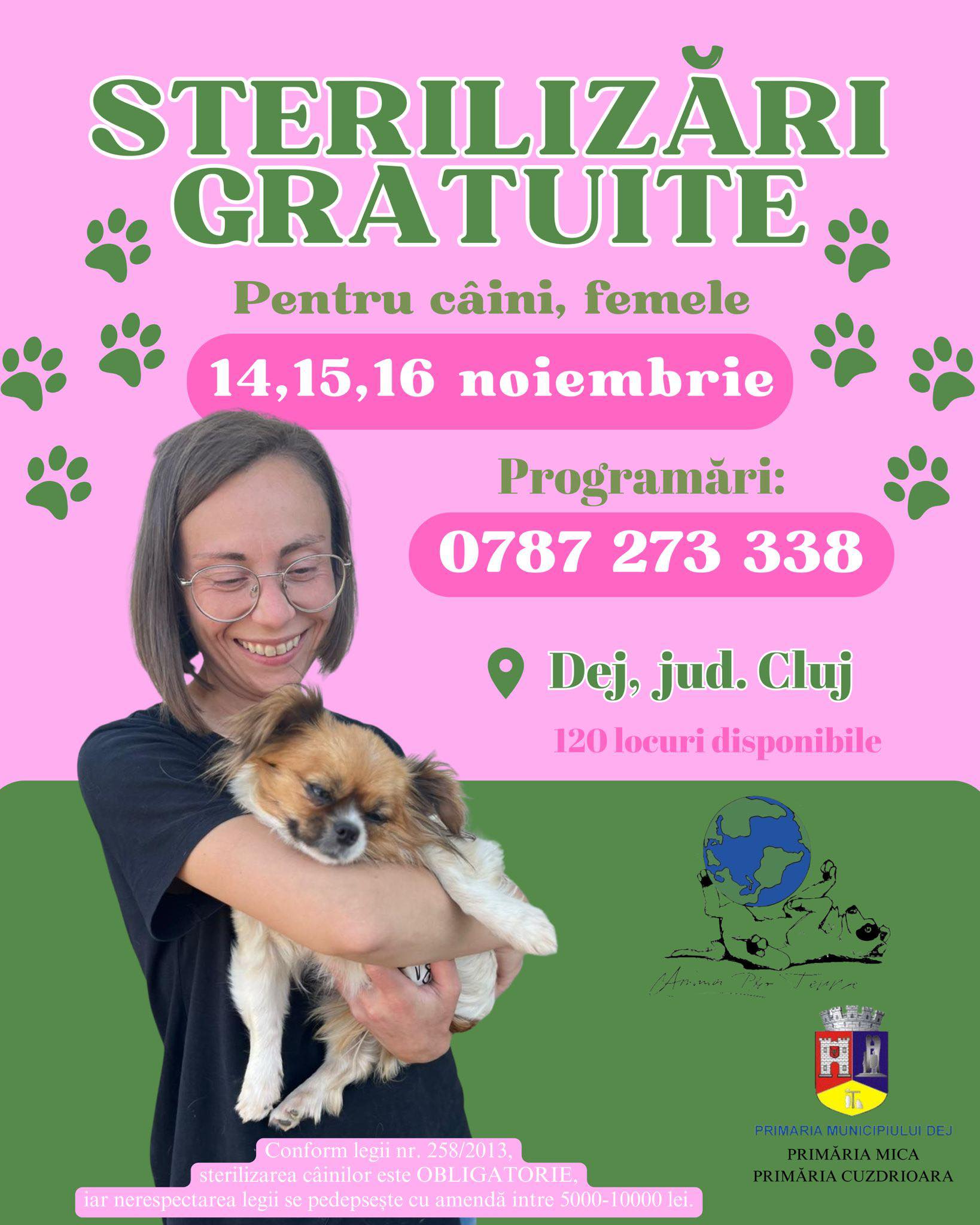 Campanie de sterilizări gratuite, la Dej